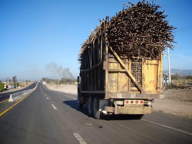 Sugar Cane Delivery